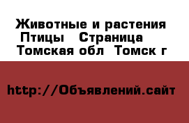 Животные и растения Птицы - Страница 2 . Томская обл.,Томск г.